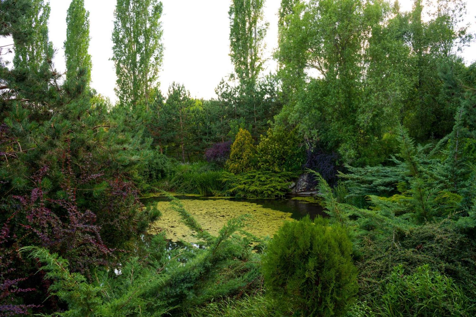 Ma Byurakan Esterno foto